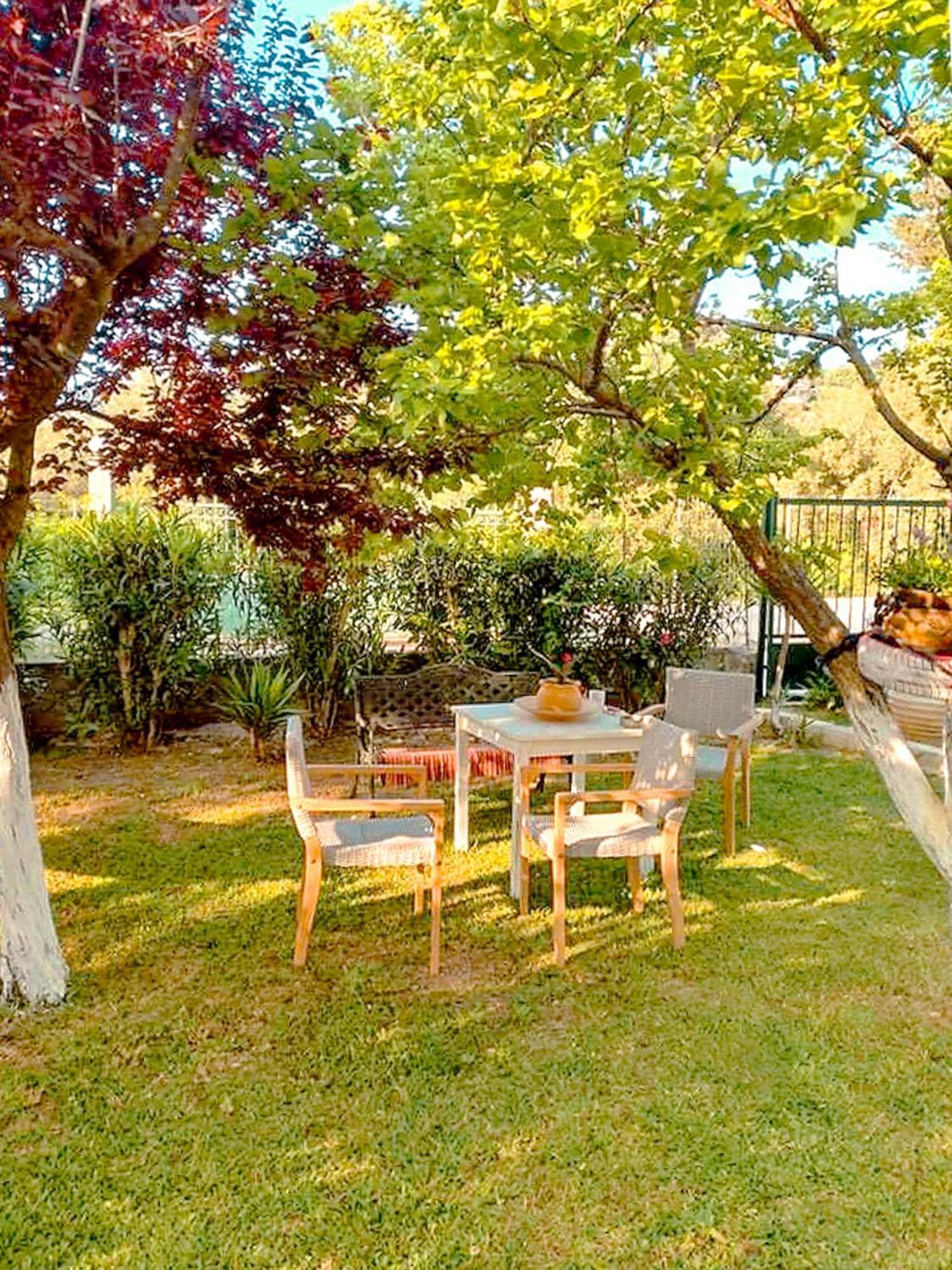 Apartment Olia S
