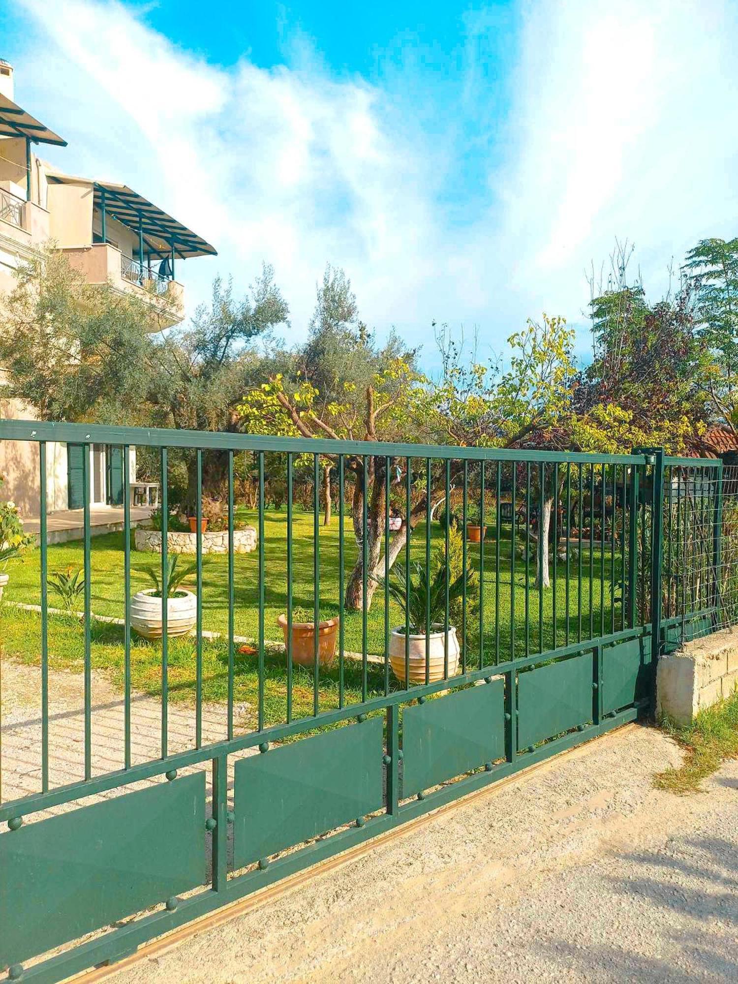 Olia S Lygia (Lefkada)